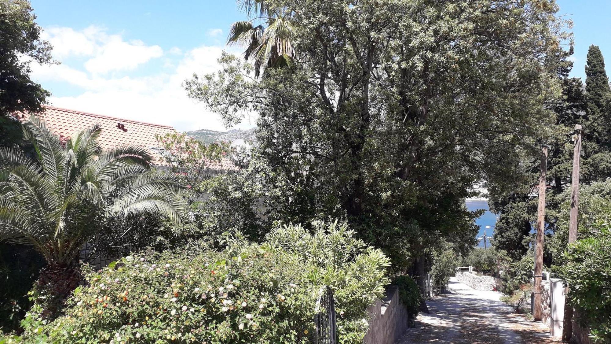 Apartments Marija - 50M From Beach زاتون المظهر الخارجي الصورة